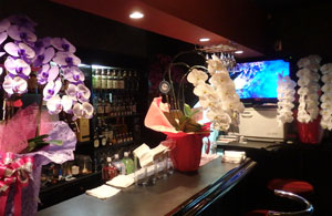 【蒲田】ARUJIS(アルジス)店内画像